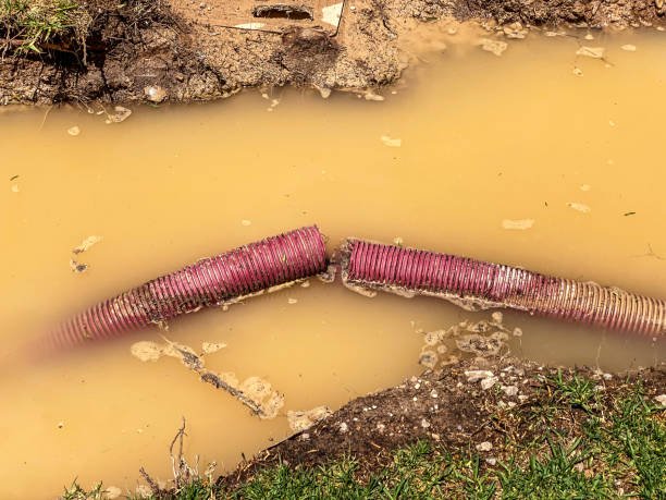 Best Water damage contractors near me  in Nissequogue, NY